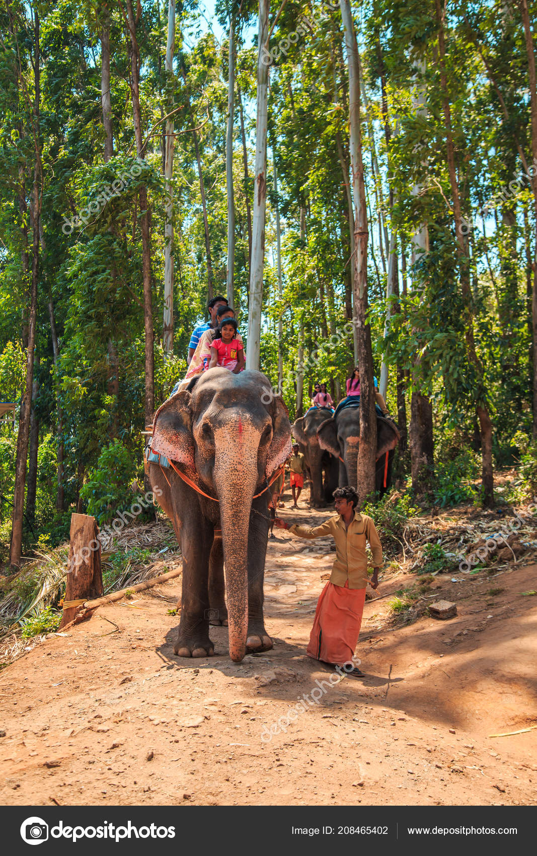 Traditional Elephant Riding Indian Jungle Munnar Kerala South India March Stock Editorial Photo C Elizavetalarionova 208465402