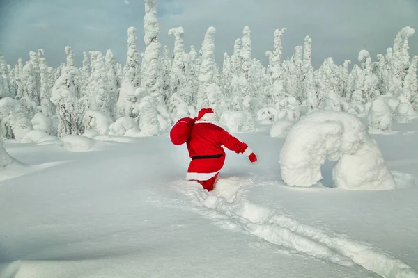 Babbo Natale Autentico Lapponia Magnifico Paesaggio Innevato — Foto Stock