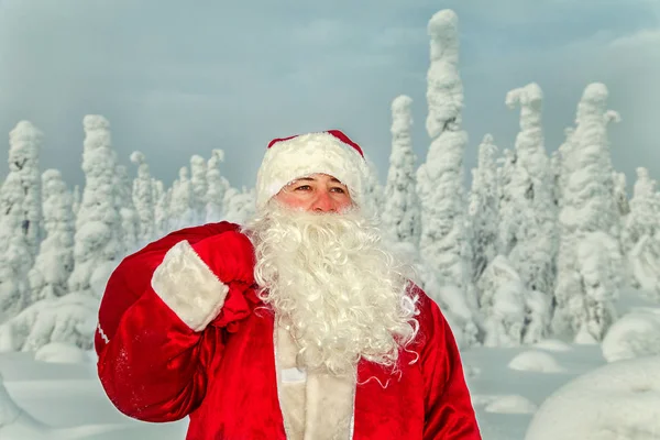 Babbo Natale Autentico Lapponia Magnifico Paesaggio Innevato — Foto Stock