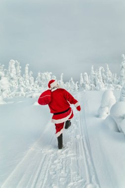 Otantik Noel Baba'ya Lapland. Karla kaplı muhteşem manzara.