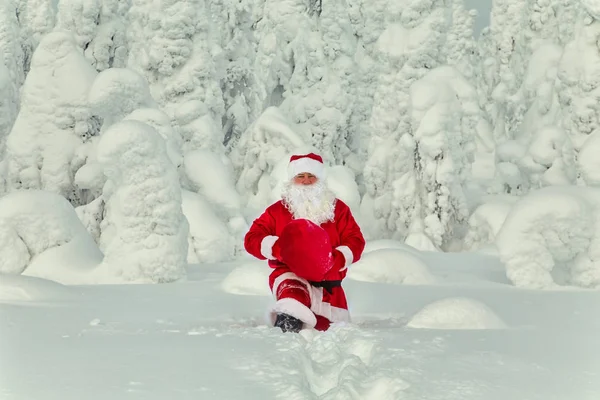 Babbo Natale Autentico Lapponia Magnifico Paesaggio Innevato — Foto Stock