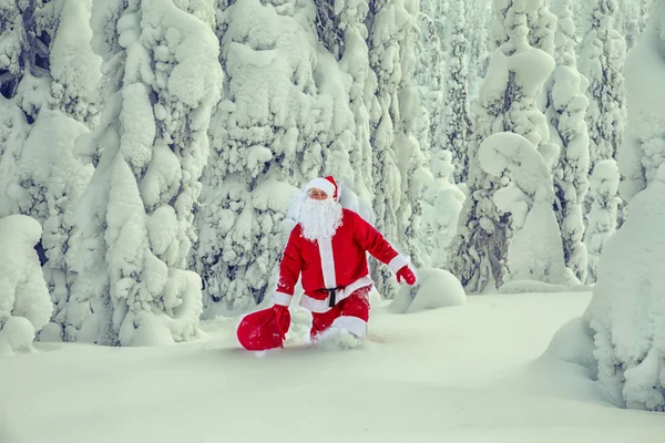 Babbo Natale Autentico Lapponia Magnifico Paesaggio Innevato — Foto Stock