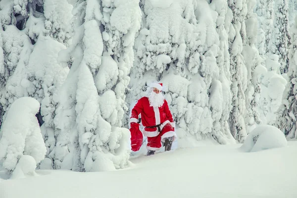 Autentiska Jultomten Lappland Magnifika Snötäckta Landskapet — Stockfoto