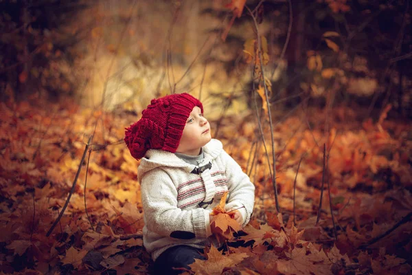 Sonbahar Ormanda Oynarken Küçük Komik Bebek Sıcak Sonbahar Günü — Stok fotoğraf