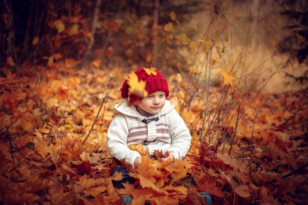 Little Funny Baby Playing Autumn Forest Warm Autumn Day — Stock Photo, Image