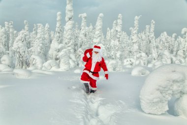 Otantik Noel Baba'ya Lapland. Karla kaplı muhteşem manzara.