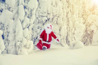 Otantik Noel Baba'ya Lapland. Karla kaplı muhteşem manzara.