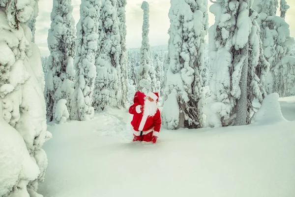 Babbo Natale Autentico Lapponia Magnifico Paesaggio Innevato — Foto Stock