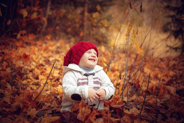 Little Funny Baby Playing Autumn Forest Warm Autumn Day — Stock Photo, Image