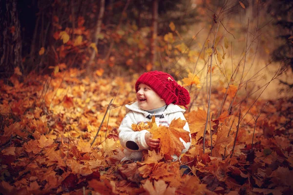 Sonbahar Ormanda Oynarken Küçük Komik Bebek Sıcak Sonbahar Günü — Stok fotoğraf