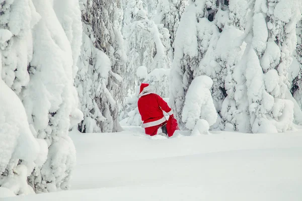 Autentiska Jultomten Lappland Magnifika Snötäckta Landskapet — Stockfoto