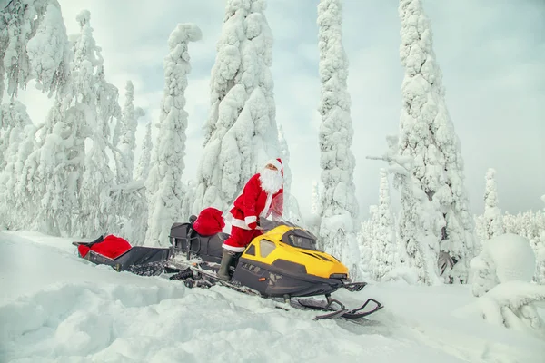 正宗的圣诞老人正骑着雪地车穿过冬季森林 壮观的雪覆盖的风景 — 图库照片