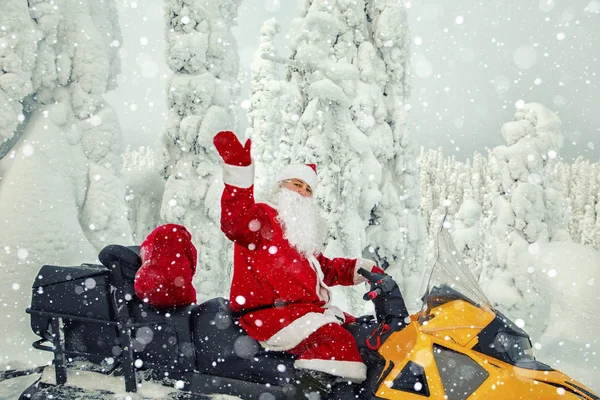 Otantik Noel Baba bir kar kış ormanı biniyor. Karla kaplı muhteşem manzara.