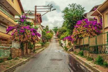 Ada Buyukada pitoresk caddeleri. Adalar adalar, Istanbul, Türkiye - 26 Eylül 2018.
