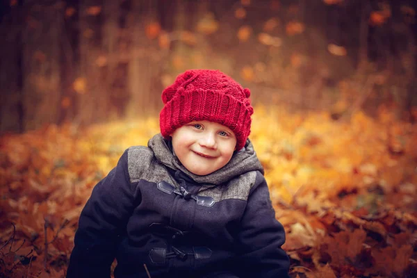 Petit Bébé Drôle Jouant Dans Forêt Automne Jour Automne Chaud — Photo