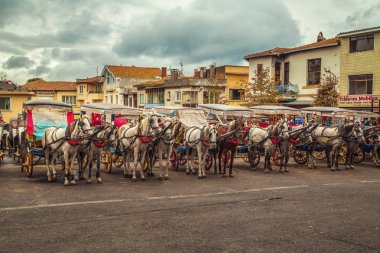At arabaları Adası Buyukada sokaklarında. Adalar adalar, Istanbul, Türkiye - 25 Eylül 2018.