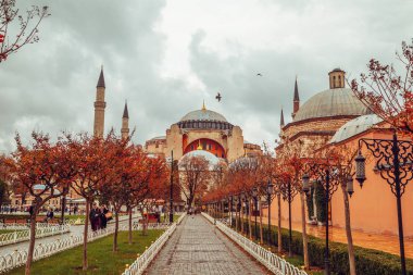 Ayasofya Müzesi Sultanahmet parkı görünümünü sonbaharda. Istanbul, Türkiye - 13 Kasım 2018.