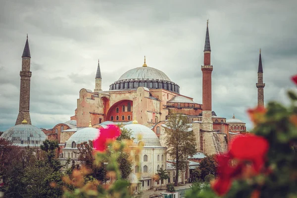 Vista Del Museo Hagia Sophia Desde Terraza Estambul Turquía —  Fotos de Stock