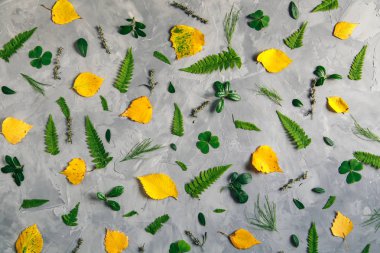 Gri bir arka plan yapraklarda. Doğal Botanik arka plan.