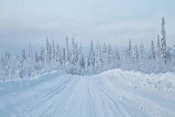 Vackra vinterlandskap med snötäckta träd. — Stockfoto