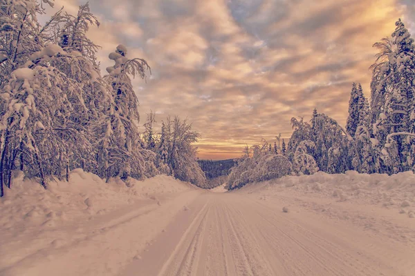 Atemberaubende Winterlandschaft mit schneebedeckten Bäumen. — Stockfoto