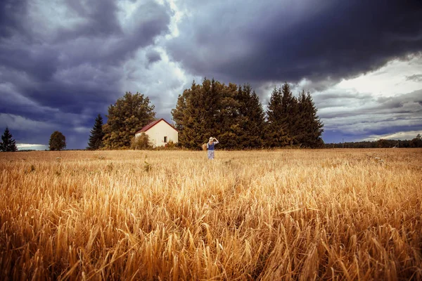 Menina loira bonita em um vestido em um campo de trigo . — Fotografia de Stock