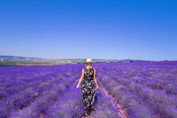 Uma rapariga num campo de lavanda. Dia de verão ensolarado na Crimeia . — Fotografia de Stock