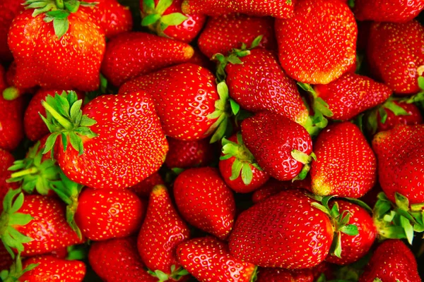 Bakgrund av färska saftiga jordgubbar. — Stockfoto