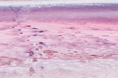 Kırım'da eşsiz tuzlu pembe göl.