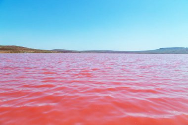 Kırım'da eşsiz tuzlu pembe göl.