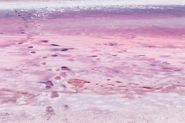 Kırım'da eşsiz tuzlu pembe göl.