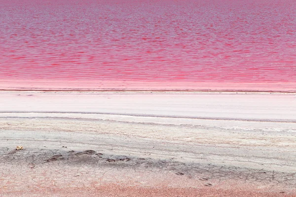 Kırım'da eşsiz tuzlu pembe göl.