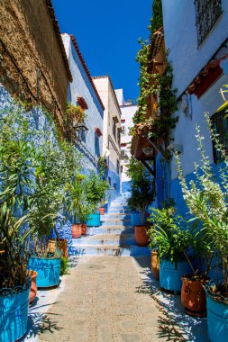 Chefchaouen'in ünlü mavi şehri. 