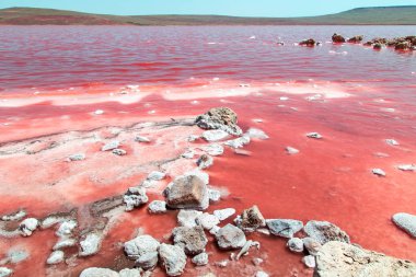 Kırım'da eşsiz tuzlu pembe göl.