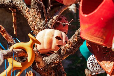 Ağaçta dekoratif eski testiler. 