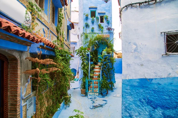 Chefchaouen'in ünlü mavi şehri. 