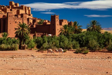  Kasbah AIT Ben Haddou Atlas Dağları'nda. 