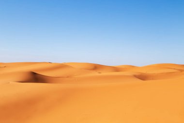 Sahra Çölü 'nün kum tepeleri. 