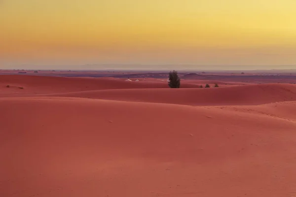 Salida del sol en el desierto del Sahara, Marruecos . —  Fotos de Stock