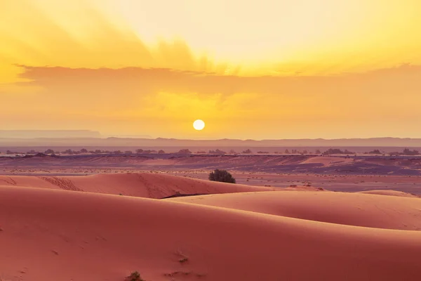 Sunrise in the Sahara desert, Morocco. — Stock Photo, Image
