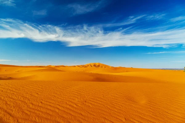 Sand Dunes of the Sahara Desert. — Stock Photo, Image