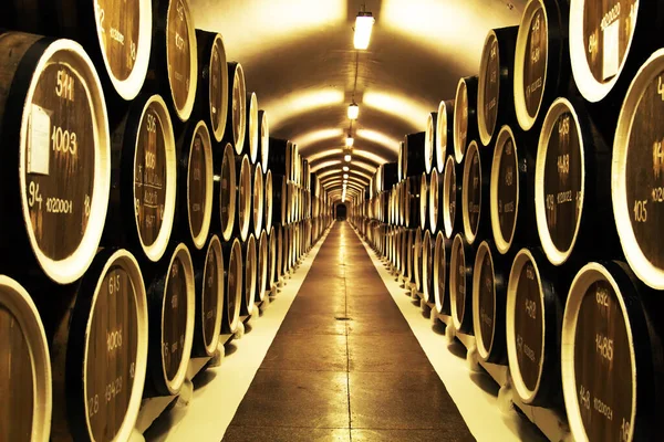 Produkcja Wina Starożytna Winiarnia Krymie Jałta Krym Czerwca 2019 — Zdjęcie stockowe