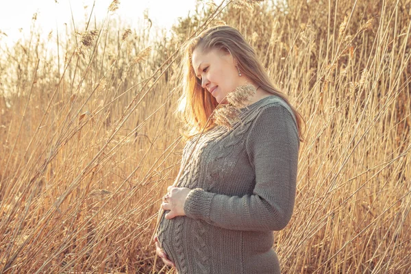 Lycklig Gravid Kvinna Njuter Livet Och Avkopplande Naturen Väntar Ett — Stockfoto