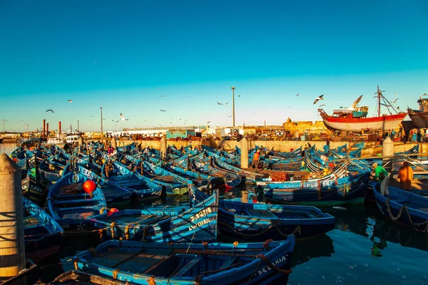 Famosos Barcos Azuis Porto Essaouira Dawn Essaouira Marrocos Setembro 2019 — Fotografia de Stock