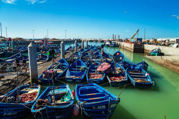 Знамениті Блакитні Човни Порту Ессауйра Essaouira Morocco Вересня 2019 — стокове фото