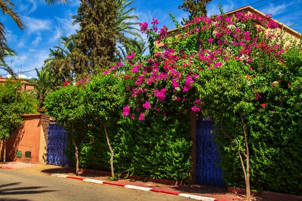 Colored Streets Marrakesh Old Town Medina Marrakech Morocco September 2019 — Stock Photo, Image