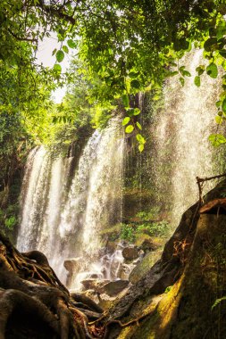 Kamboçya 'nın ulusal parkındaki Phnom Kulen şelalesi. Siem Reap, Kamboçya.