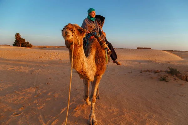 Bedevi Elbiseli Kadın Sahra Çölünde Deveye Biniyor Tunus Afrika — Stok fotoğraf