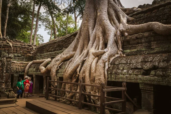 Tempel Prohm Eine Symbiose Aus Wurzeln Und Steinen Siem Reap — Stockfoto