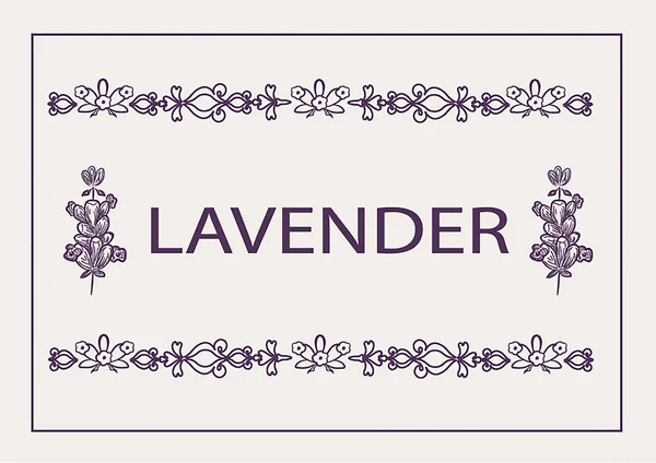 Graphic Vector Abstract Illustration Lavender Flowers Provence Style Frame Text — Stock Vector